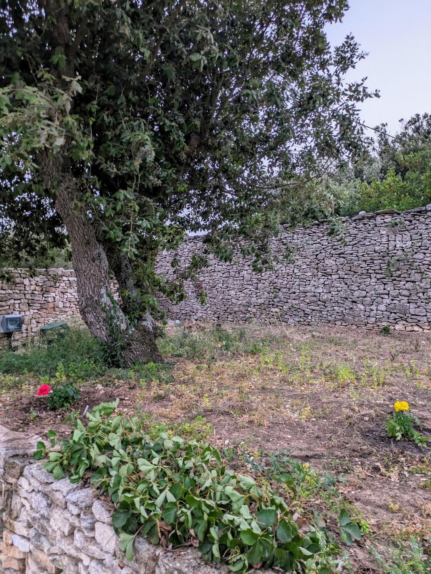 Maison De Campagne * Bonifacio (Corsica)